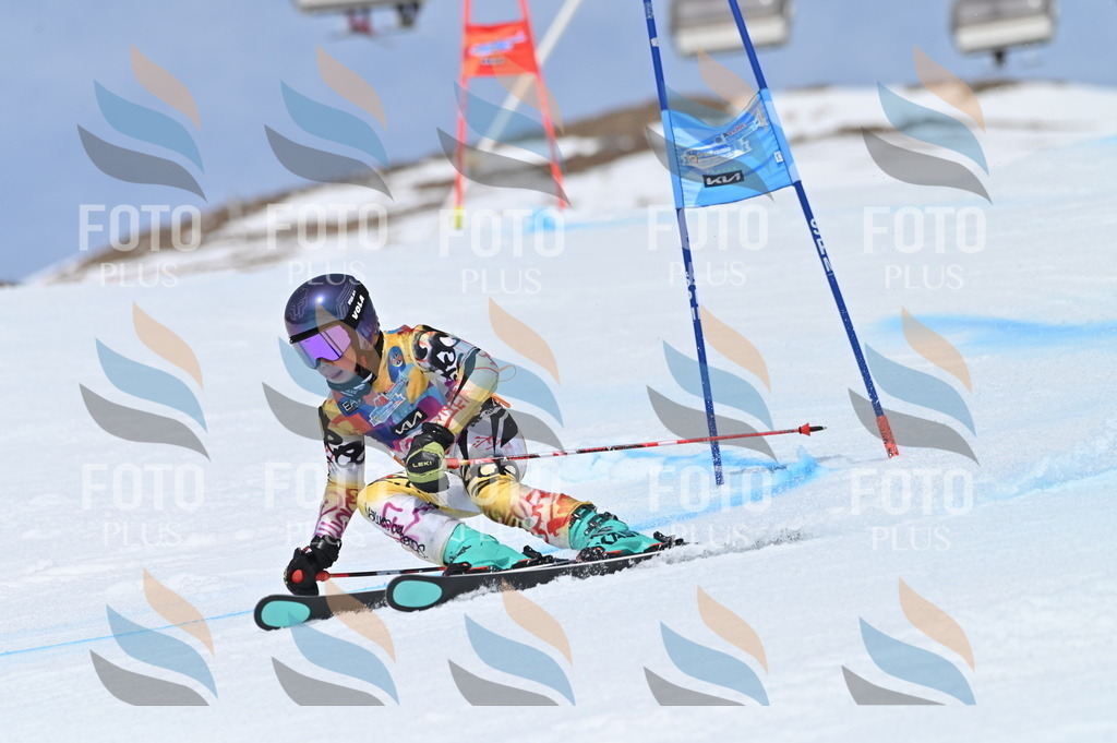 BGV_1223 | holidayphoto