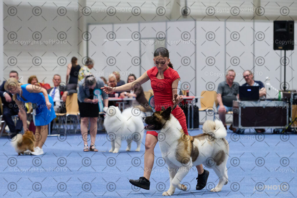 202406_ÖKV-IHA-Tulln24_DSC_3033 | proPHOTO - Realisiert mit Pictrs.com