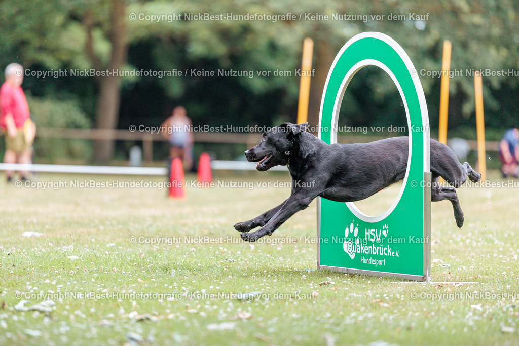 THS-Quakenbrück-2026-Nickbest-Hundefotografie-4663 | Dein Hund! Dein Moment! Deine Erinnerungen! Hundefotografie in Bremen Blumenthal. Ich fange die besonderen Momente deines Vierbeiners ein – ob Indoor mit Blitzanlage oder in der freien Natur. Sicher dir dein Moment und dein Termin für eure Erinnerungen.