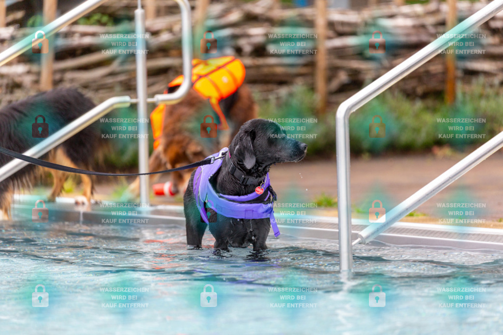 _HP_6271_1000o | HetPix, HetPix Fotodesign, Fotografie, Fotodesign, Webshop, Sportfotografie, Portraitfotografie, Onlineshop, Sportfotografie, Polch, Motorsportfotografie, Eventfotografie