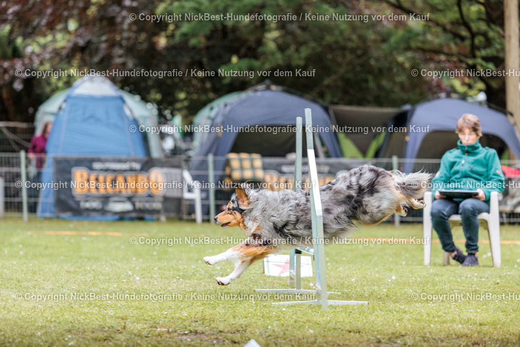 RO-Blumenthal-2026-Nickbest-Hundefotografie-2863 | Dein Hund! Dein Moment! Deine Erinnerungen! Hundefotografie in Bremen Blumenthal. Ich fange die besonderen Momente deines Vierbeiners ein – ob Indoor mit Blitzanlage oder in der freien Natur. Sicher dir dein Moment und dein Termin für eure Erinnerungen.