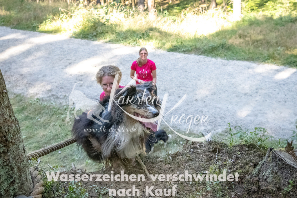 1200_ZZ92859 | kk-dogfotos