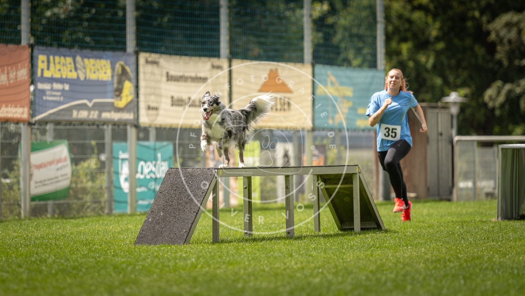Pfotenfotografie_DV3A3442 | Hundefotografie, Tierfotograf, Pfotenfotografie, Fotoshooting Hund, Hunde Portrait, Hundesport, Hundeportraits, Heideshooting, Hunde, Sportfotograf, Hundefotograf, Turnierhundsport, THS,  - Realisiert mit Pictrs.com
