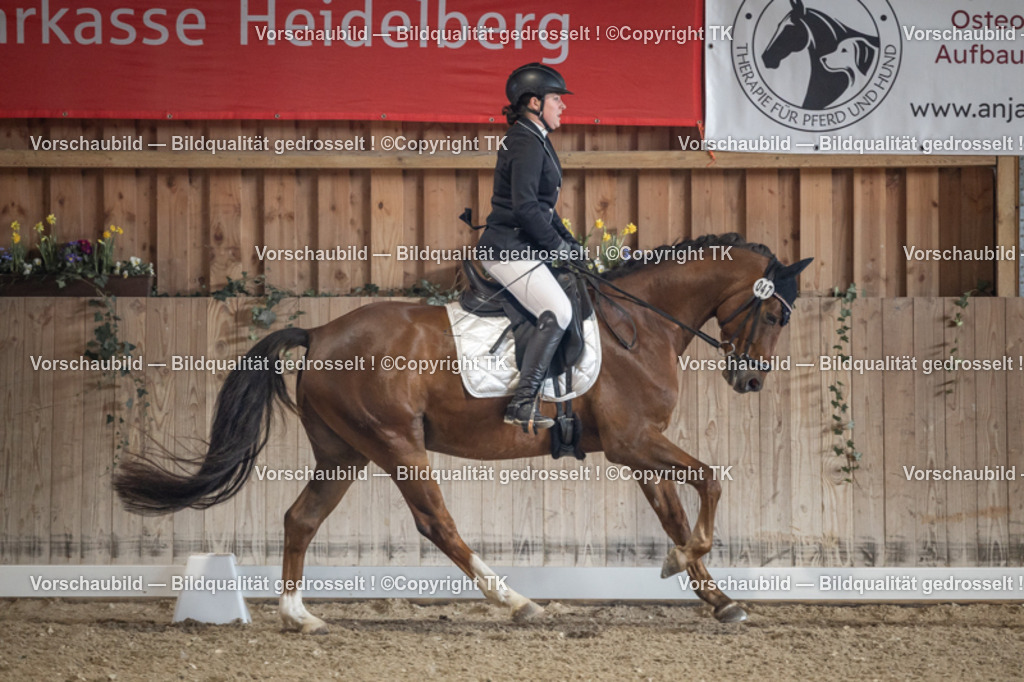 _D5A4513 | Emotionale Pferde- & People-Fotografie rund um Heidelberg, Leimen & Umgebung. Natürliche Fotos von Pferd, Mensch & Familie. Jetzt Termin sichern!