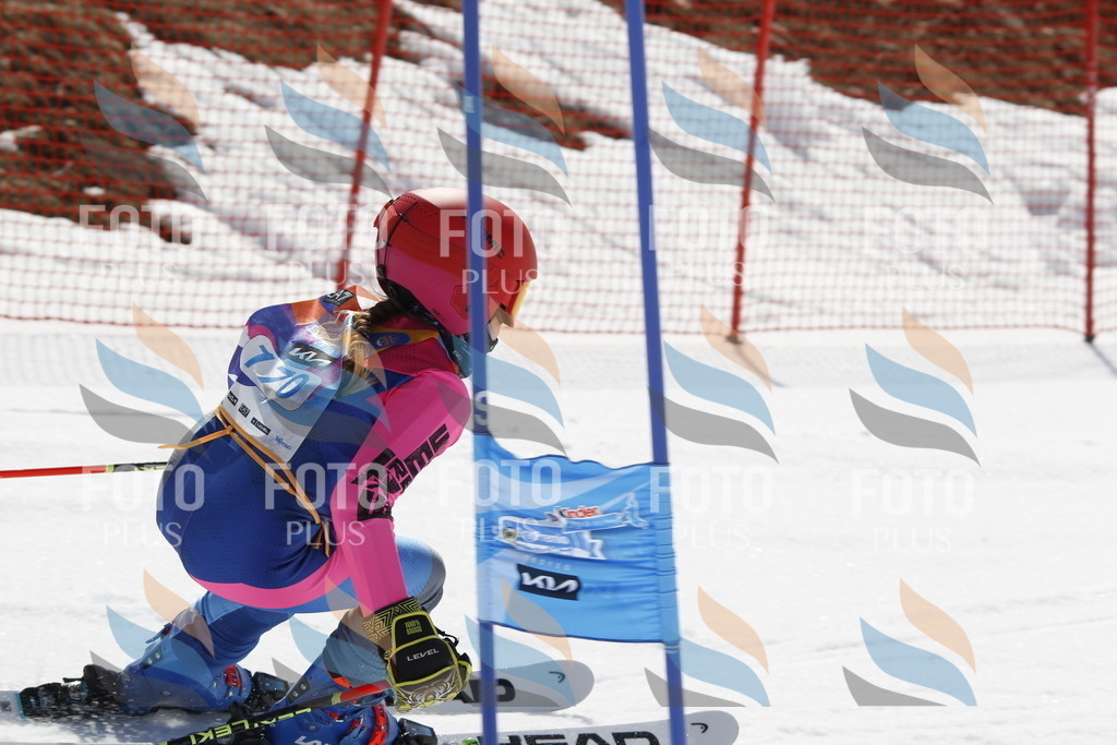 _U3G1557 | holidayphoto