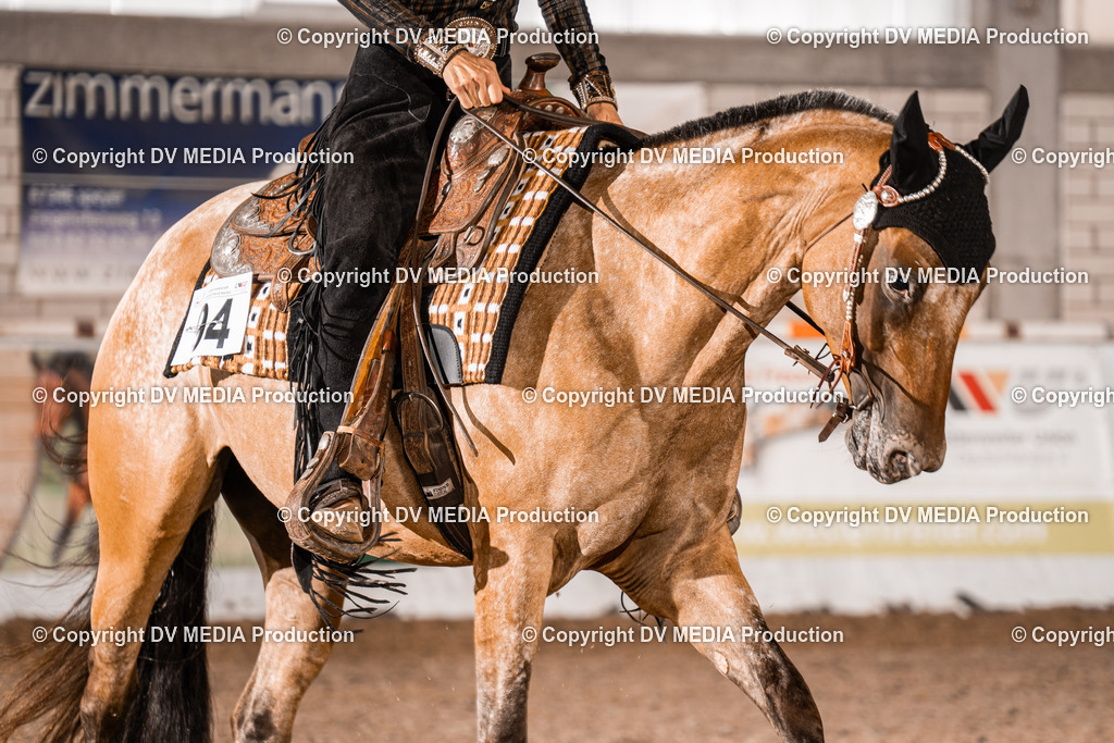 ZH200676 | dv-media-shop - Realisiert mit Pictrs.com