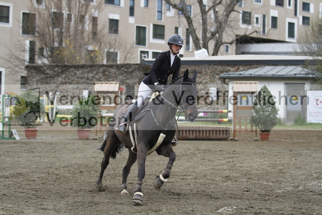 _MG_5998 | equestrian-live-com
