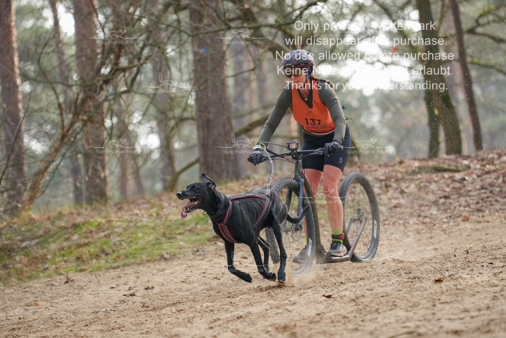 Scooter2-3 | stephaniefillaphotographie - Realisiert mit Pictrs.com