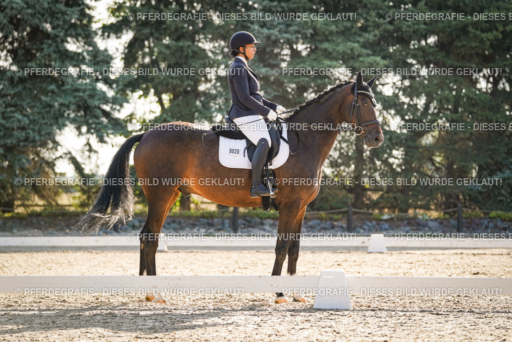 DSC08523 | Pferdegrafie