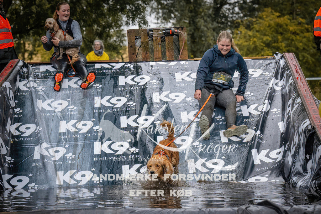 1230_ZZ90060 | kk-dogfotos