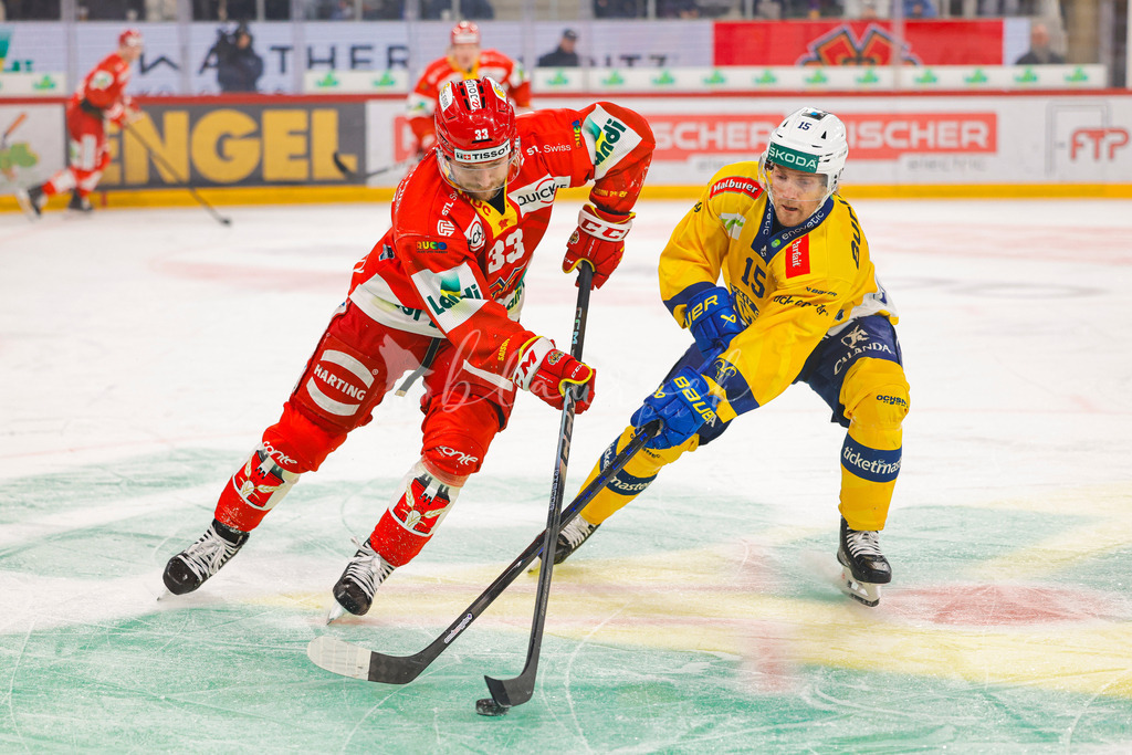 EHCB vs HCD 20260106_wb-0793 | Sportbilder, Sportfotograf, Hochzeits- und Eventfotografin, Flugshows, Portraits und Tiershooting, Aviation, Downhill, Nationalleague, Swissleague, International