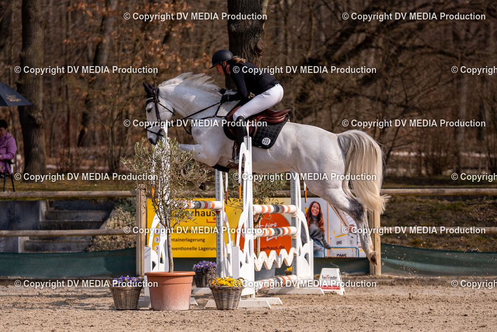 Kranichstein Tag 2-1531 | dv-media-shop - Realisiert mit Pictrs.com