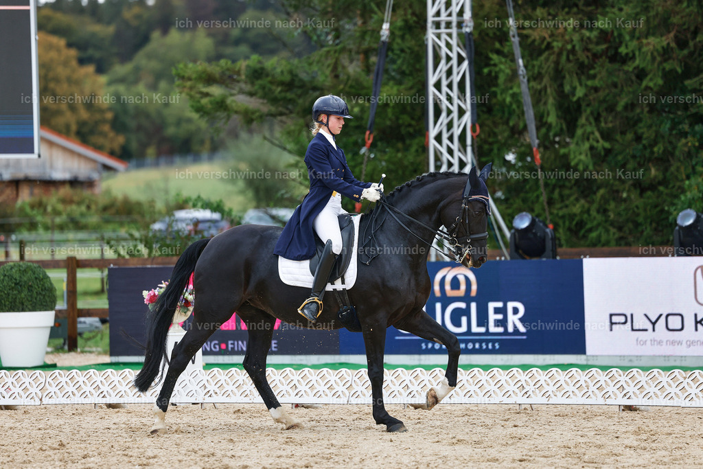 8_2-033-DRESSUR S_  -StoibPH-4403 | working equitationturnier fotograf videograf stoibphotography marixx film working equitation deutschland reitsport turnierfotografie eventfotografie equestrian events