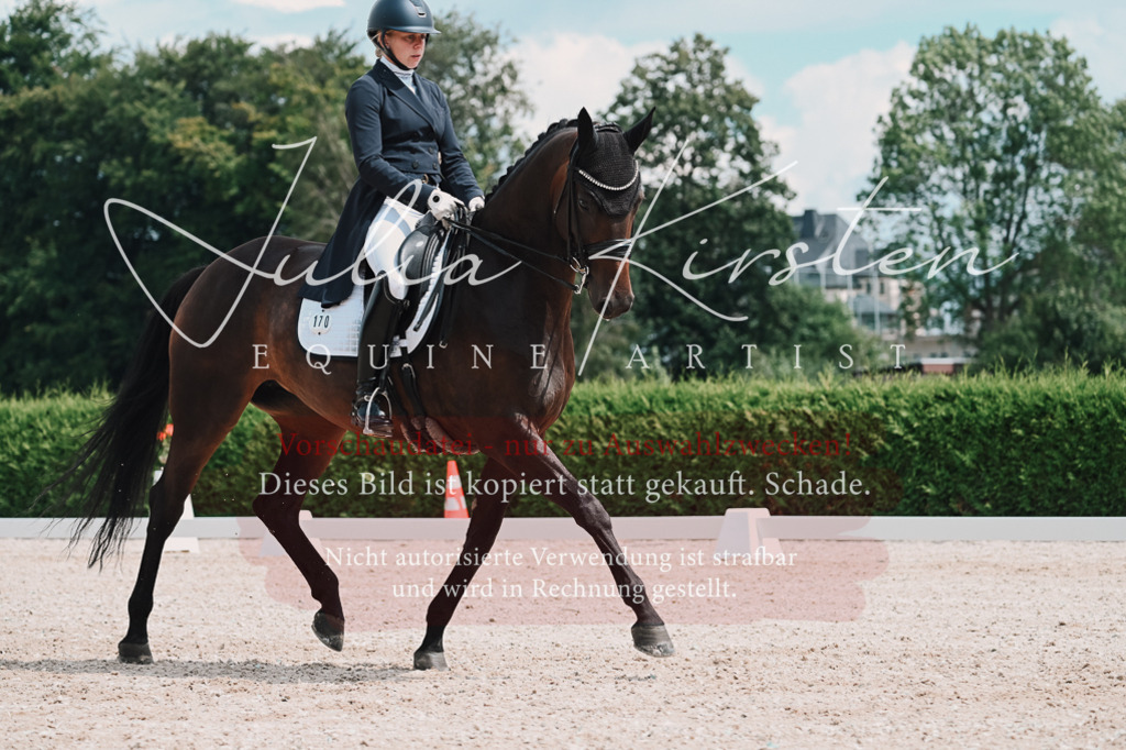 DSC_4286 | Pferde- und Turnierfotografie in Westsachsen. Pferdeportraits, Auftragszeichnungen und intuitive Kunst.