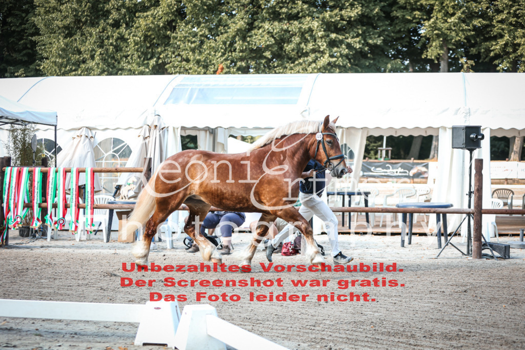 Fr4K00024 | Leoni Ertmer Photography - Realisiert mit Pictrs.com
