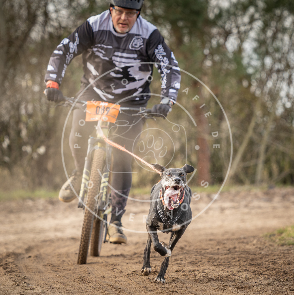 Pfotenfotografie_DV3A8167 | Hundefotografie, Tierfotograf, Pfotenfotografie, Fotoshooting Hund, Hunde Portrait, Hundesport, Hundeportraits, Heideshooting, Hunde, Sportfotograf, Hundefotograf, Turnierhundsport, THS,  - Realisiert mit Pictrs.com