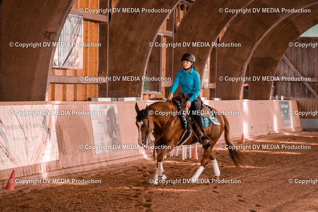 NE201093 | dv-media-shop - Realisiert mit Pictrs.com