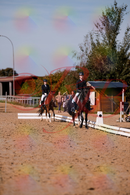 2026_10_03_Siefer-Hof_115500_Z81_94821624 | Professionelle Reitsport-, Turnier- und Eventfotografie von Robert Broda. Galerien mit ausgewählten und bearbeiteten Bildern direkt online ansehen und bestellen.