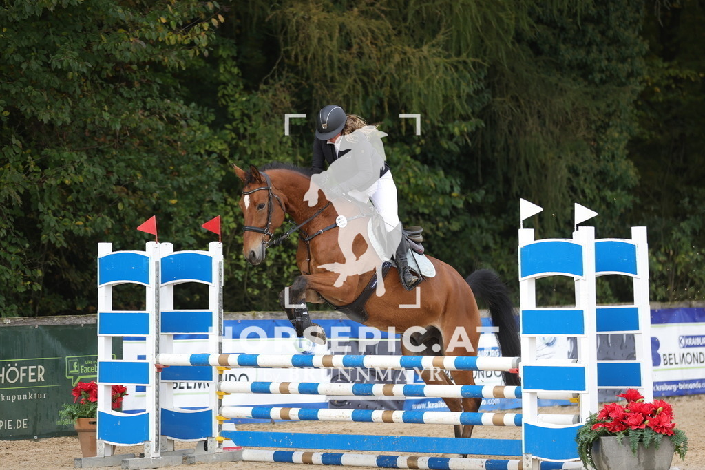 0P6A1206 | Willkommen bei Brunnmayr - Design & Fotografie – Ihrem Spezialisten für Reitturniere und Pferdeveranstaltungen in Oberösterreich, Salzburg und Bayern! Seit über 17 Jahren sind wir leidenschaftlich dabei.