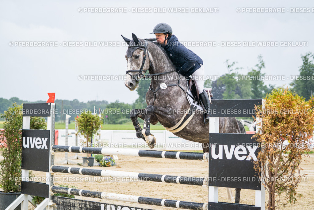 DSC01615 | Pferdegrafie