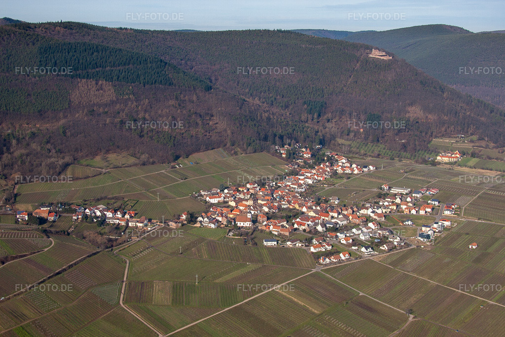 Luftbild: Weinbergs- Landschaft der Pfälzer Weinstraße bei Weyher in der Pfalz in Weyher in der Pfalz im Bundesland Rheinland-Pfalz in Deutschland. Foto: IMG_61559.jpg vom 18.01.2014 durch Werner Riehm/FLY-FOTO.de