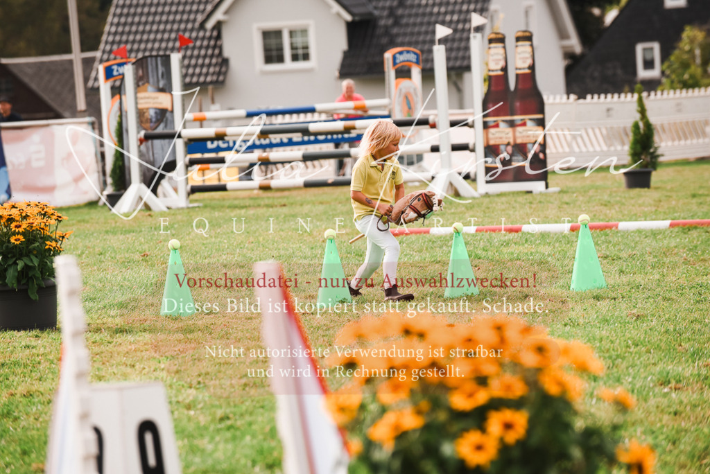 DSC_4624 | Pferde- und Turnierfotografie in Westsachsen. Pferdeportraits, Auftragszeichnungen und intuitive Kunst.