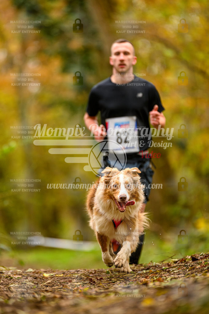 MompixPhotography_Bischwiller24_SA_Canicross-120 | PayLife