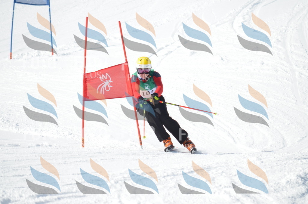 D9146 | holidayphoto