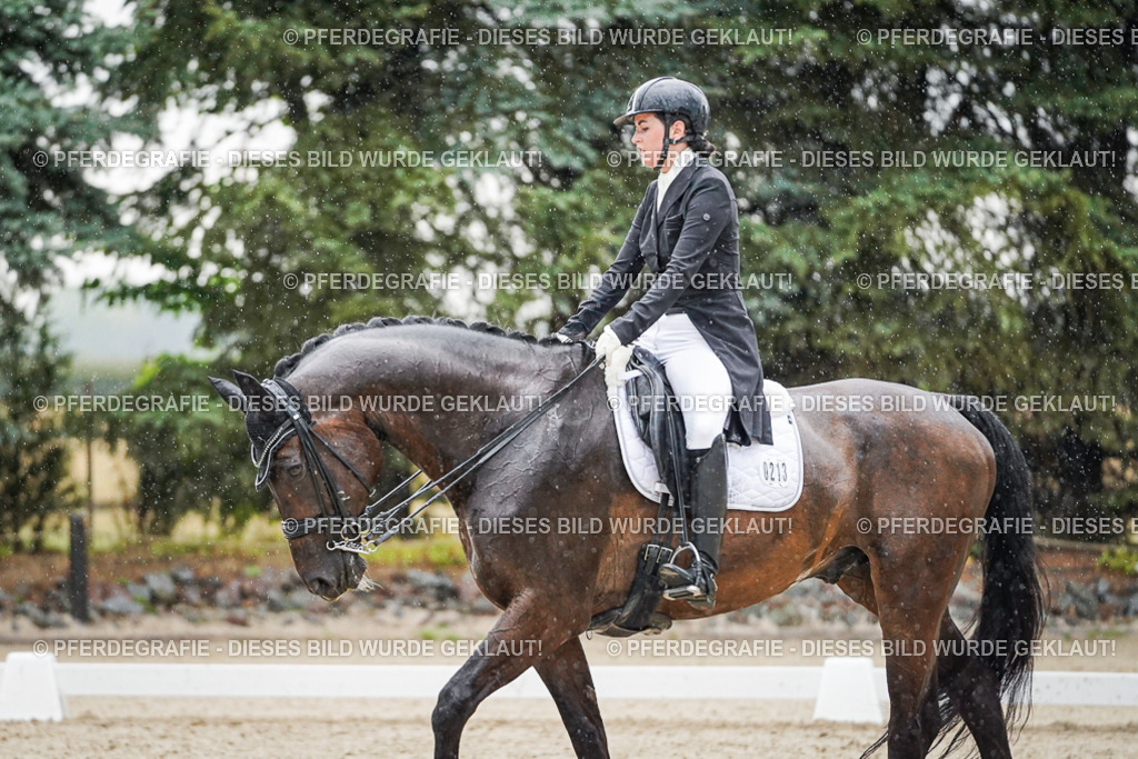 DSC08162 | Pferdegrafie