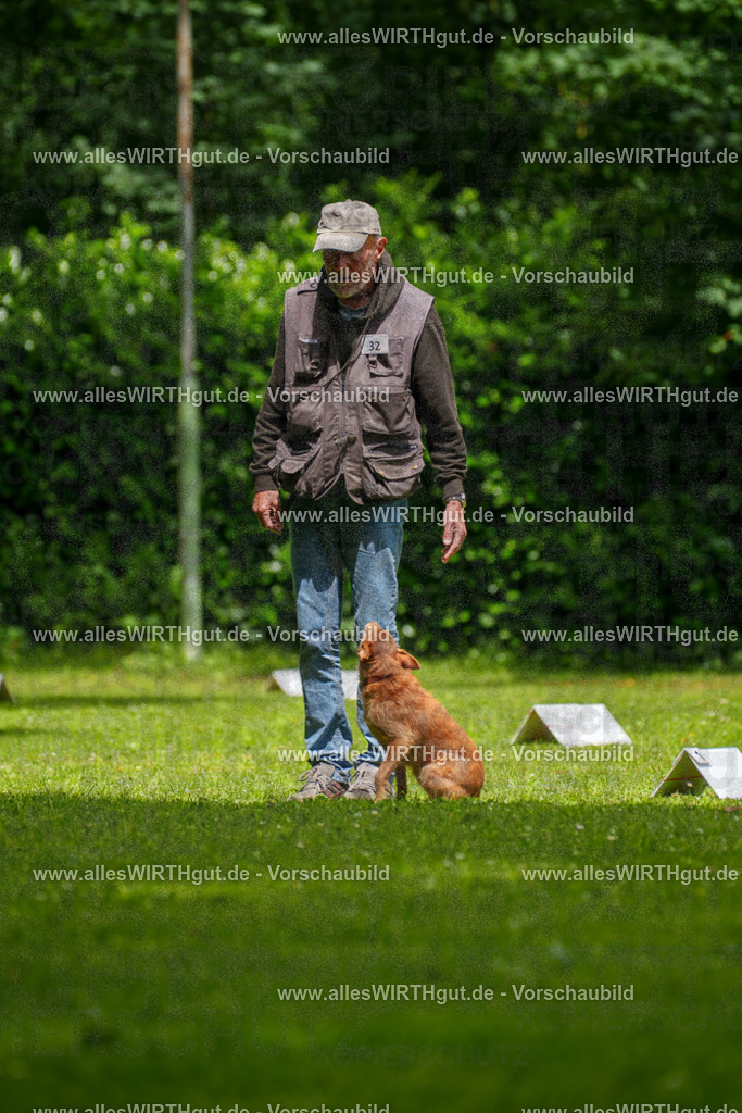 @allesWIRTHgut_Tierfotografie - www.allesWIRTHgut.de - 121511-7R508721 | Professionelle Tierfotografie in Mönchengladbach von Daniel Wirth (allesWIRTHgut). Liebevolle & natürliche Bilder von Hunden & Katzen für unvergessliche Erinnerungen.