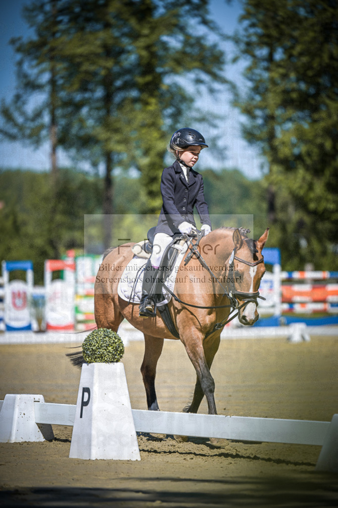DOS_7634 | Entdecke hochwertige Reitturnierfotos von Foto Oger. Professionell, emotional und authentisch – jetzt Lieblingsmomente im Shop bestellen.Deutschlandweite Turnierfotografie. - Realisiert mit Pictrs.com