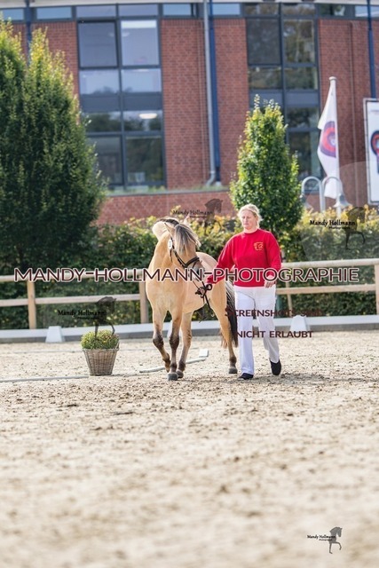 21-21 | mandyhollmannphotographie