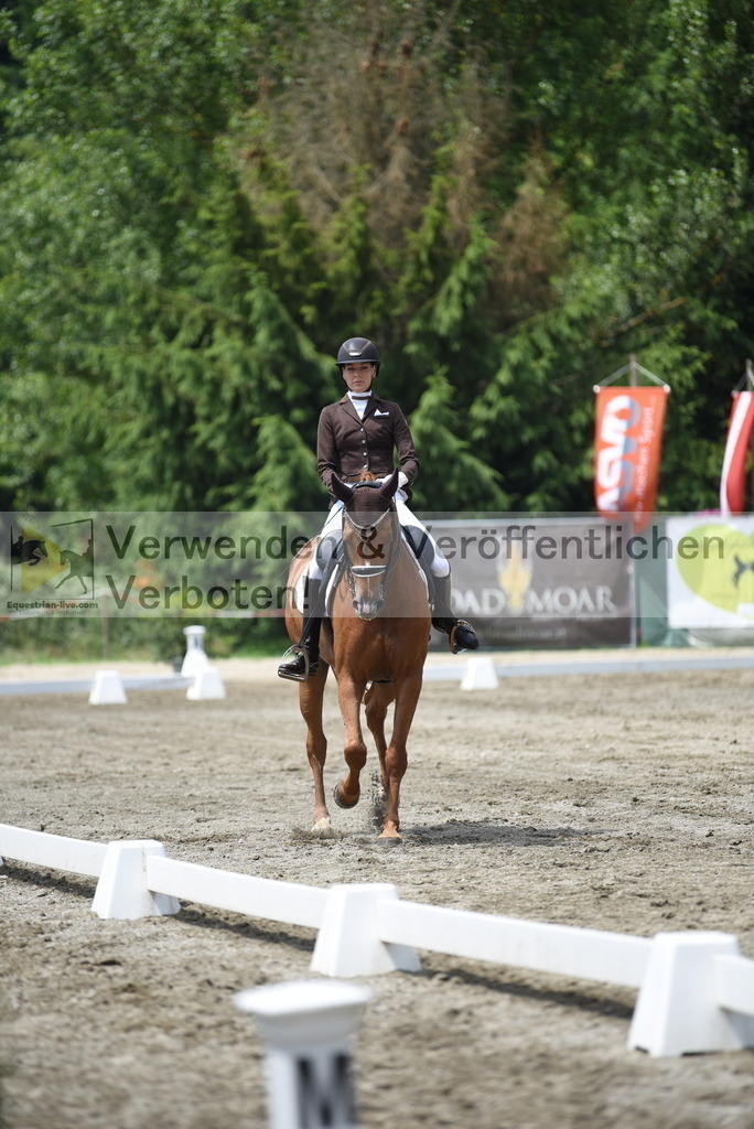DSC_9233 | equestrian-live-com