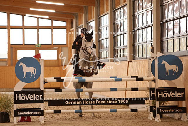 1J2A7061Tessa Leni Thillmann_ Click M_ Kn147_ Glantz_ Hohen Wieschendorf | Foto- und Videografie für alles rund ums Pferd. Hochwertige Bilder und Videos vom Spring- und Dressurreiten, Voltigieren & mehr. Jetzt aktuelle Veranstaltungen und Preise im Shop ansehen. - Realisiert mit Pictrs.com