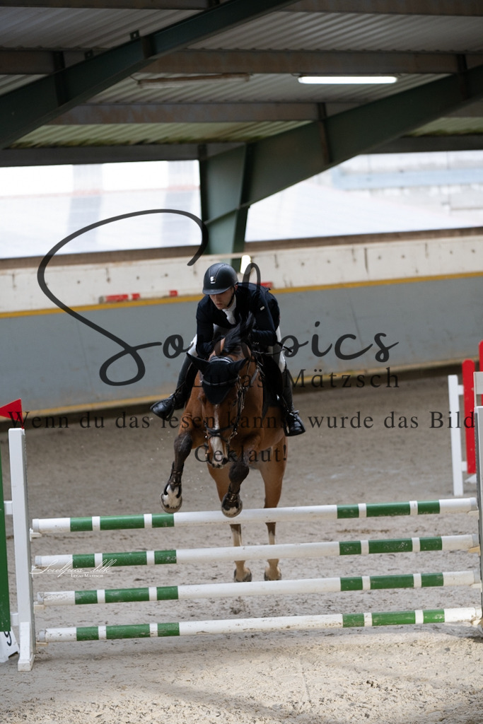 A7V01426 | Pferdefotograf