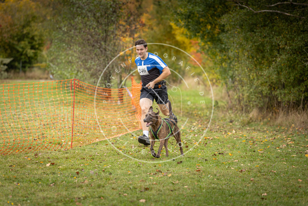 Pfotenfotografie_DV3A4214 | Hundefotografie, Tierfotograf, Pfotenfotografie, Fotoshooting Hund, Hunde Portrait, Hundesport, Hundeportraits, Heideshooting, Hunde, Sportfotograf, Hundefotograf, Turnierhundsport, THS,  - Realisiert mit Pictrs.com