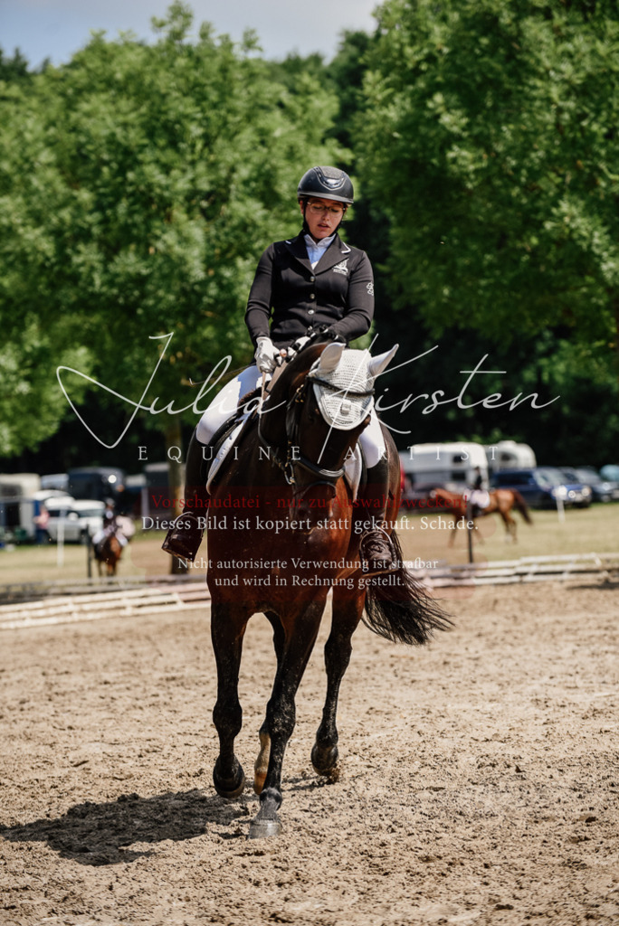 DSC_1073 | Pferde- und Turnierfotografie in Westsachsen. Pferdeportraits, Auftragszeichnungen und intuitive Kunst.