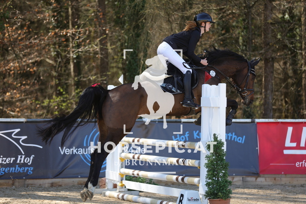 0P6A7832 | Willkommen bei Brunnmayr - Design & Fotografie – Ihrem Spezialisten für Reitturniere und Pferdeveranstaltungen in Oberösterreich, Salzburg und Bayern! Seit über 17 Jahren sind wir leidenschaftlich dabei.