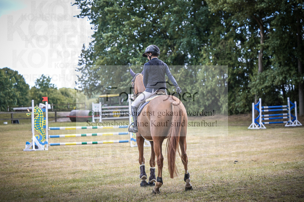 DOS_0002 | Entdecke hochwertige Reitturnierfotos von Foto Oger. Professionell, emotional und authentisch – jetzt Lieblingsmomente im Shop bestellen.Deutschlandweite Turnierfotografie. - Realisiert mit Pictrs.com