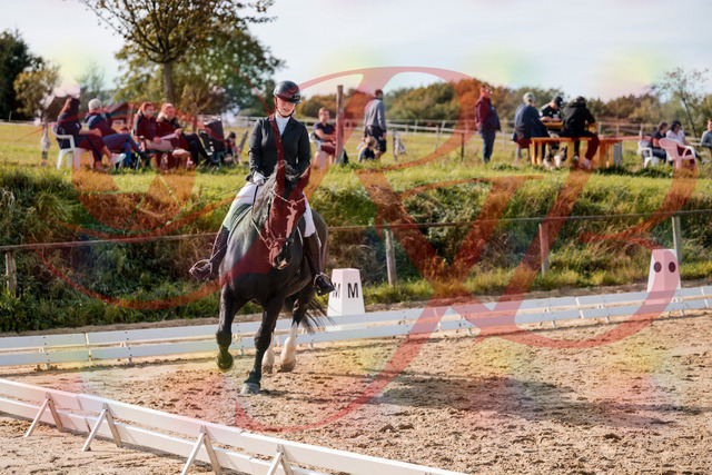 2026_10_03_Siefer-Hof_120538_Z63_36215877 | Professionelle Reitsport-, Turnier- und Eventfotografie von Robert Broda. Galerien mit ausgewählten und bearbeiteten Bildern direkt online ansehen und bestellen.