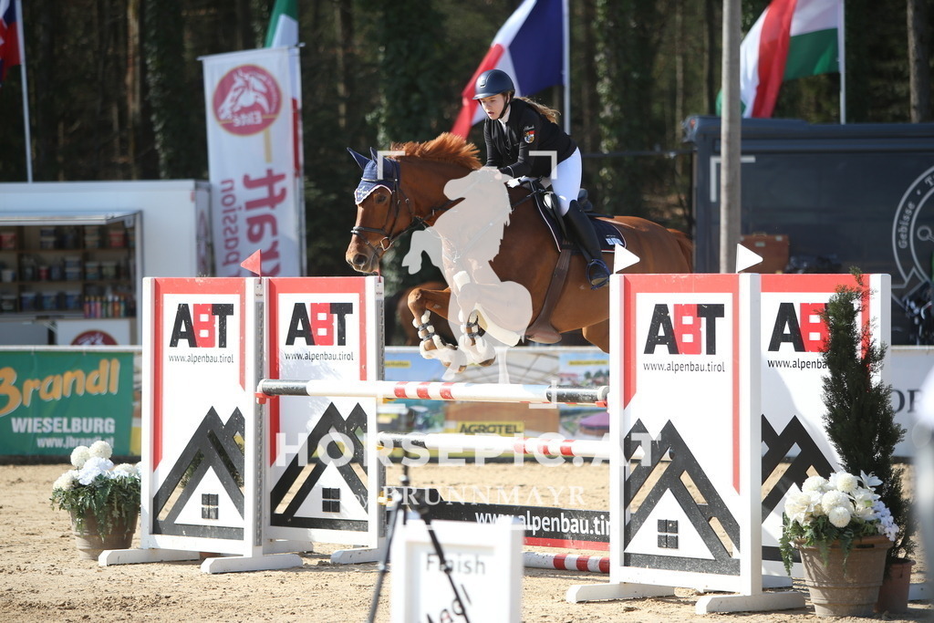 AS8V5643 | Willkommen bei Brunnmayr - Design & Fotografie – Ihrem Spezialisten für Reitturniere und Pferdeveranstaltungen in Oberösterreich, Salzburg und Bayern! Seit über 17 Jahren sind wir leidenschaftlich dabei.