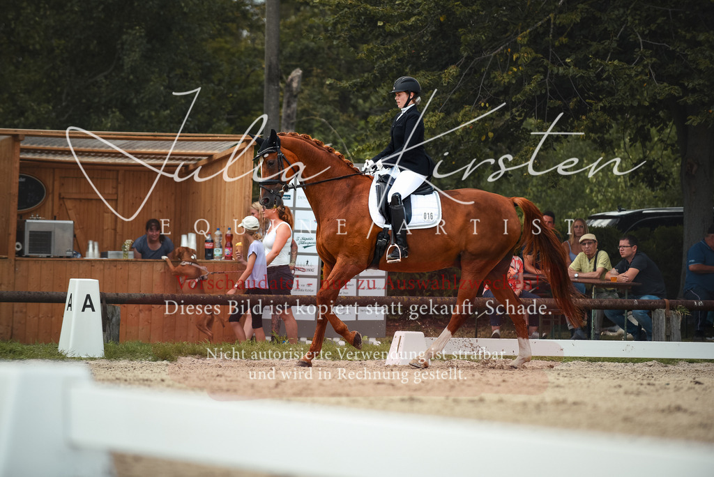 DSC_9121 | Pferde- und Turnierfotografie in Westsachsen. Pferdeportraits, Auftragszeichnungen und intuitive Kunst.