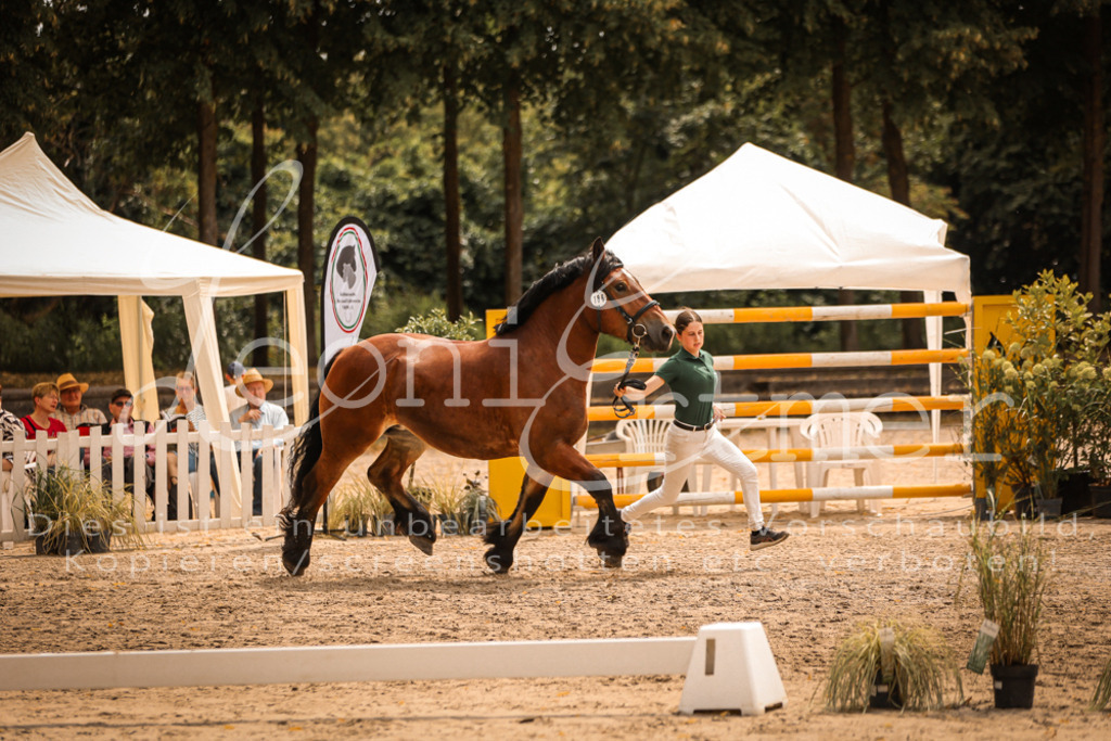 SaSieger00025 | Leoni Ertmer Photography - Realisiert mit Pictrs.com