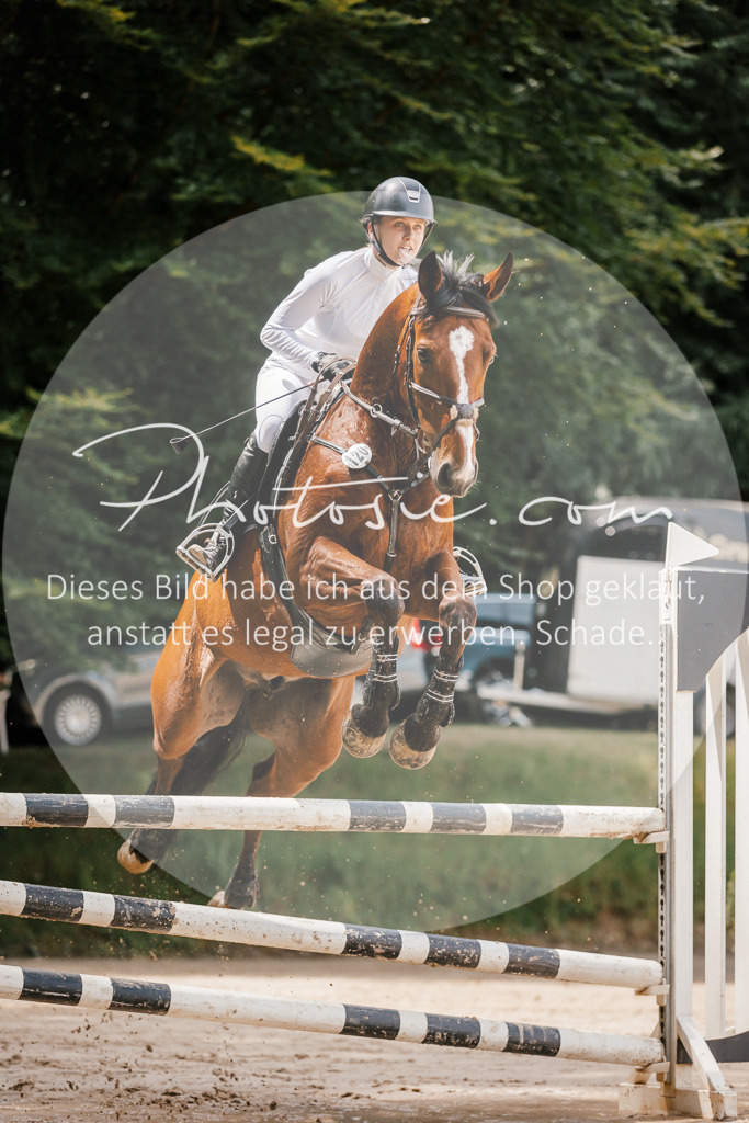 3I6A7762 | Stimmungsvolle Portraits und Reitsportfotografie im Ruhrgebiet und im Münsterland.

Pferdefotografie, Hundefotografie, Tierfotografie, Reportagen, Portraits von Tier und Mensch, Turnierfotografie in Bochum, Recklinghausen, Marl, Haltern am See, Dülmen.. - Realisiert mit Pictrs.com