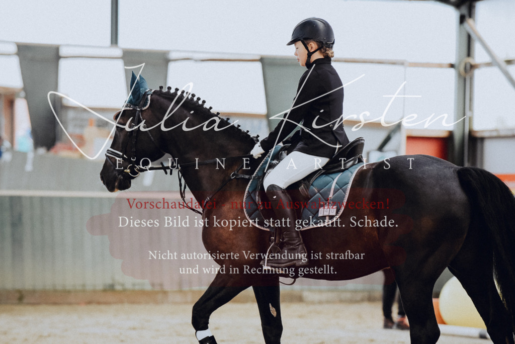 DSC_6801 | Pferde- und Turnierfotografie in Westsachsen. Pferdeportraits, Auftragszeichnungen und intuitive Kunst.