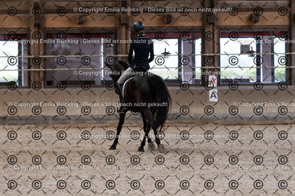 CL5A5174 | Emilia Reinking Fotografie - Realisiert mit Pictrs.com