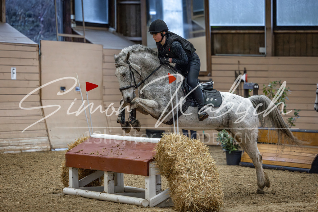 20260222-_3LI0891 | Tierfotografie Pferde, Hunde, Katzen, Haustiere.
Turnierfotografie Reitturniere, Reiten, Springreiten, Dressur in Hanau, dem Main-Kinzig-Kreis und dem Rhein-Main- Gebiet um Frankfurt