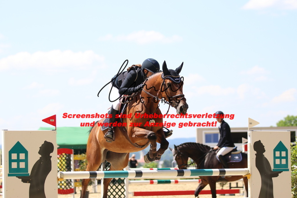 IMG_2511 | lmwpictures - Realisiert mit Pictrs.com