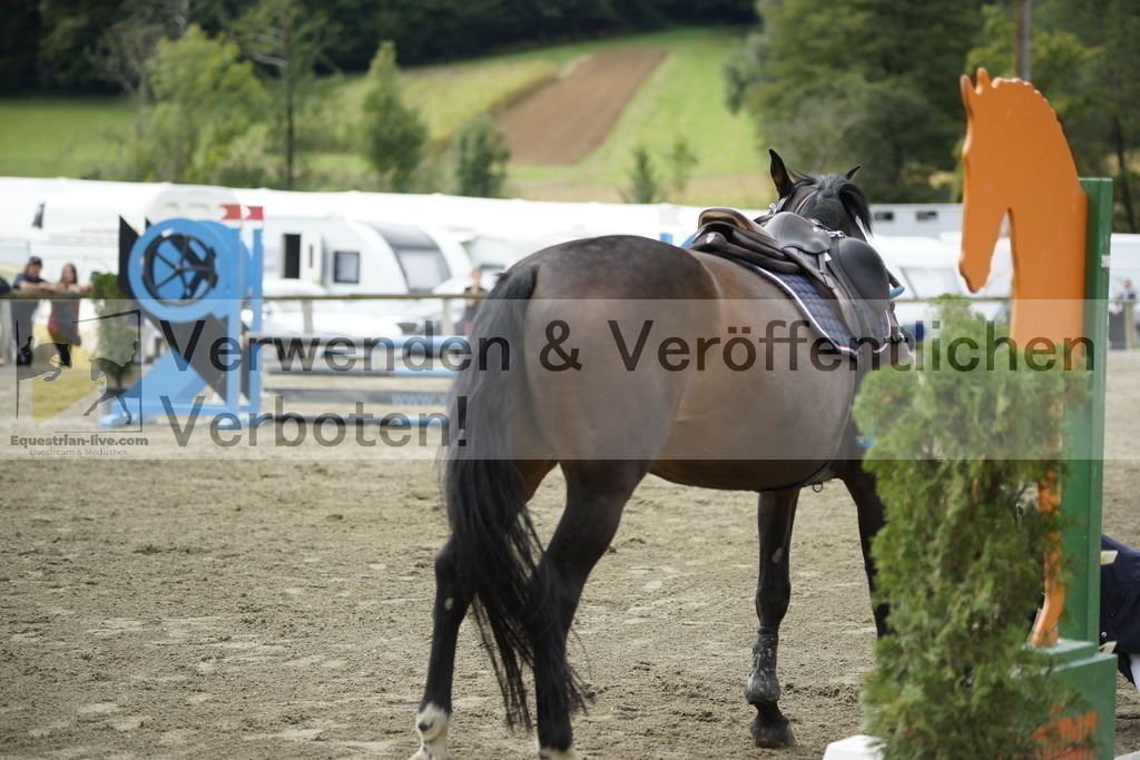 _DSC5219 | equestrian-live-com
