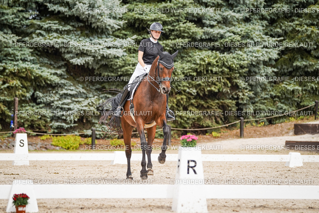 DSC06115 | Pferdegrafie